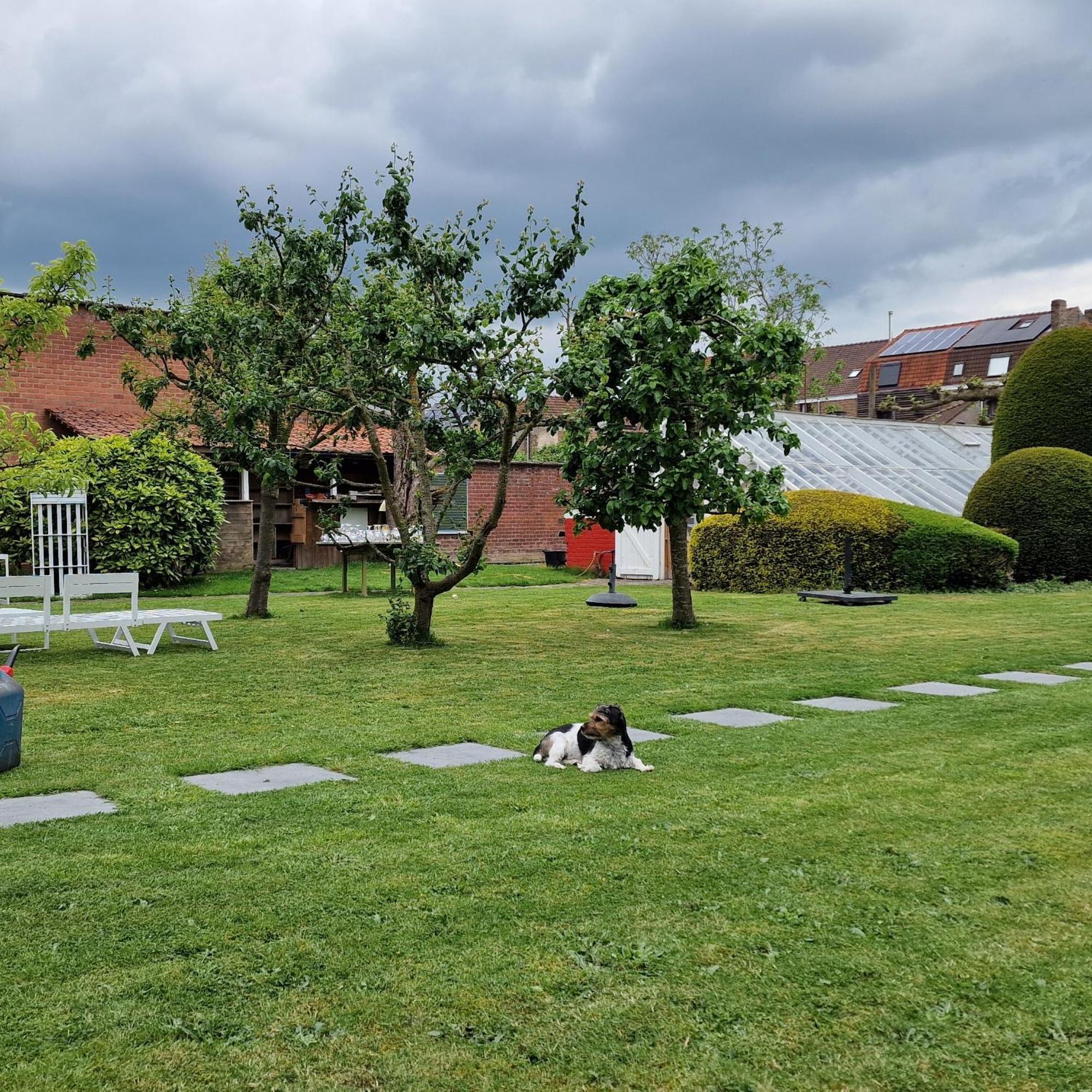 B&B Fine Fleur Bruges Exterior foto